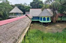 Amazon wildlife explorations 3 days 2 night