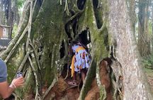 Private Aburi Hill Guided Tour