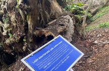 Private Aburi Hill Guided Tour