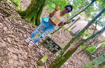 Private Aburi Hill Guided Tour