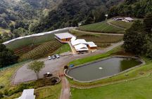 Wine Tour and Tasting