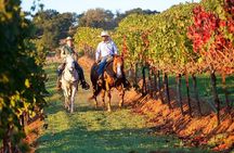 Guided Horseback Experience