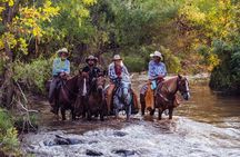 Guided Horseback Experience