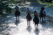 Guided Horseback Experience