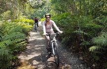 Mountain Biking Gold Mine Full-Day Tour