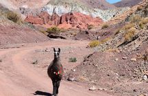 Multi-Day Tour in San Pedro de Atacama with Pickup