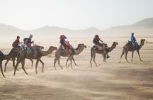 6 Days trip in Morocco from Casablanca 