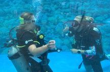 PADI Open Water Diver Course