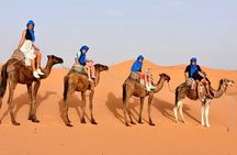 Tour from Ouarzazate to Vallee Du Draa and Dunes Of Tinfou