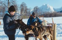 Fun & Easy Dog Sledding Adventure from Tromsø - Midday Tour