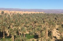 Private Excursion from Ouarzazate to Gorges Dades, Valley of Roses and Skoura