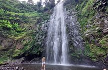 Materuni Waterfalls and Coffee Tour in Moshi