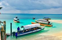 Prison Island Tour, Stone Town, Secret Garden, Spice Tour, Emerson Restaurant