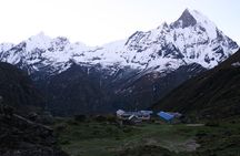 14-Day Annapurna Base Camp Trek from Kathmandu