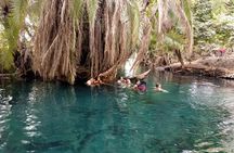 Private Tour to Materuni Waterfalls, coffee tour & Kikuletwa Hot Springs