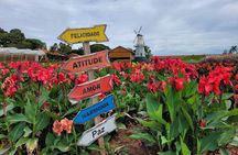 Holambra - The City of Flowers