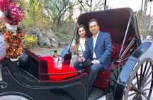 VIP Central Park Champagne Tour with Photos(50 min)~Skip the line