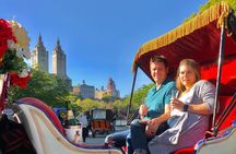 VIP Central Park Champagne Tour with Photos(50 min)~Skip the line