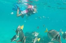 3-Hour Private Pelican Rock Snorkeling and chileno Bay
