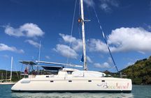 Private, Skippered Catamaran Day Trip in Grenada