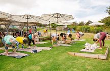 Sunset Maui Goat Yoga with Live Music