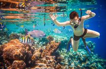 3-Hour Private Pelican Rock Snorkeling and chileno Bay