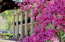 N’awlins Luxury: Double Plantation Whitney & Oak Alley with Transportation