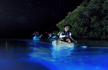Bioluminescence Clear Kayak & Paddleboard Tour – Near Orlando