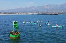 Kayak Tour of Santa Barbara with Experienced Guide