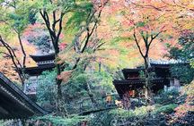 Private Walking Tour in Bamboo Forest & Hidden Spots in Arashiyama