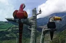 3 Hours Jeep or ATV or Motorcycle Trip To Via Los Pajaros