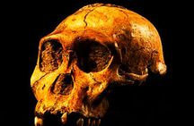Cradle of humankind and lesedi cultural village tour