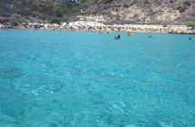 4 hour Guided kayaking trip along east Cape Greko