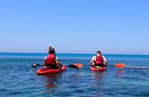 4 hour Guided kayaking trip along east Cape Greko
