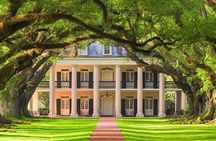 Oak Alley Plantation Admission & Tour with transportation