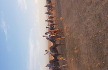 Agafay Desert Dinner And Sunset with spectacle 
