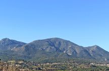 Discover Tipaza tour Roman ruins