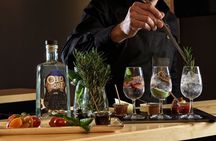 Guided Gin tasting experience in Athens with Snacks