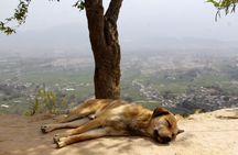 Changunarayan Hill to Telkot Hike Near Kathmandu Day Tour
