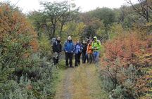 5.5-Hour Nat Park w/ Hiking *Shore Excursion* USHUAIA (Shared tour for cruises)