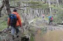 5.5-Hour Nat Park w/ Hiking *Shore Excursion* USHUAIA (Shared tour for cruises)