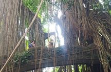  All inclusive of Ubud Culture,Village and Temples