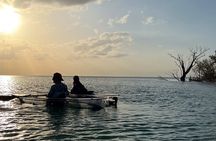 Sunset and Glow Clear Kayak Tour in North Naples