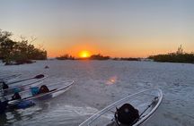 Sunset and Glow Clear Kayak Tour in North Naples