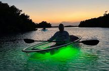 Sunset and Glow Clear Kayak Tour in North Naples