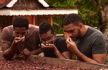 Private Chocolate Making Class 