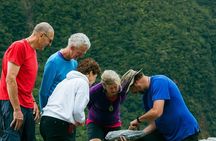 Fox Glacier Nature Tour