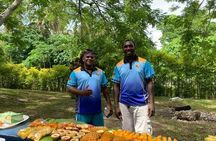 4 Hour: Private Tropical Trio Excursion (with Hotel Pickup)