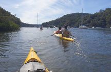 Pittwater Lunch Paddle with Waterfall Bush Walk