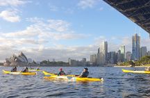 Harbour Bridge Breakfast Paddle